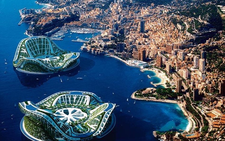 Miasta przypominające liść nenufara będą czyste i piękne