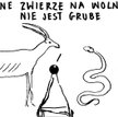 Rysuje Janusz Kapusta