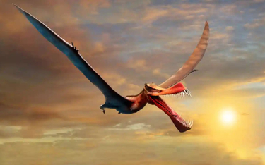 105 mln lat temu nad Australią latały "smoki"
