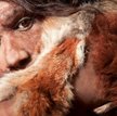Neandertalczycy byli kanibalami przez zmiany klimatu?