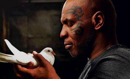 Mike Bestia Tyson i gołębie, Film w Discovery Channel