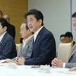 Premier Japonii chce wpisać armię do konstytucji