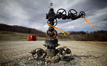 USA - dzieli i rządzi w ropie i gazie