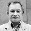 Wołek: Cienka stalowa linia
