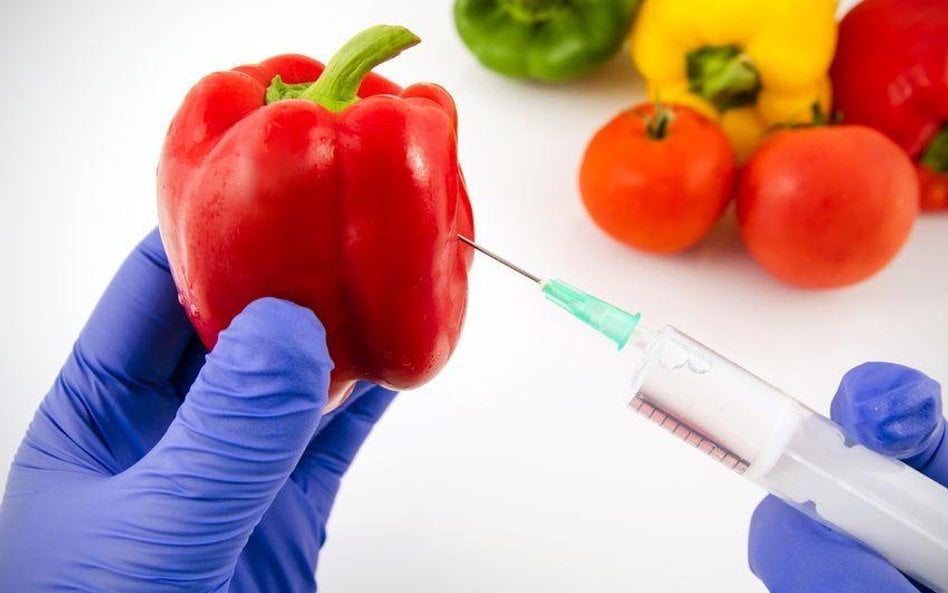 Europosłowie nie chcą zmian w GMO