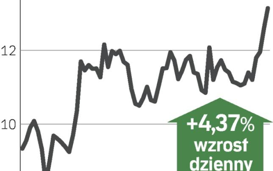 Wysyp informacji o spółce