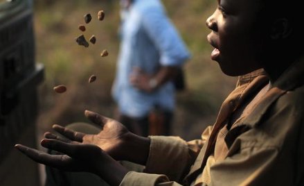 Tematem „Wiedźmy wojny” Kanadyjczyka Kima Nguyena jest wewnętrzny konflikt w Kongo