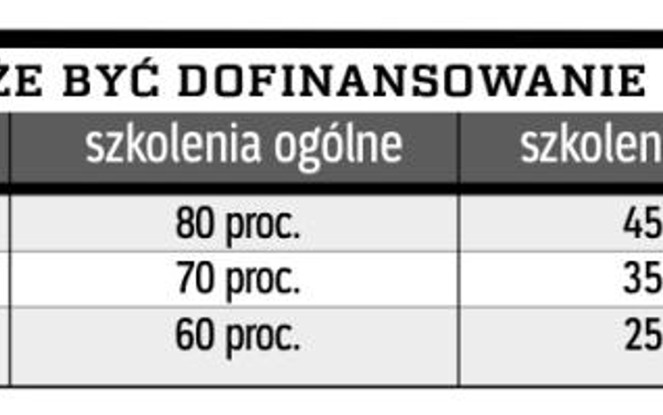 Fundusze unijne dla firma na szkolenia i doradztwo
