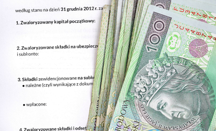 Przedsiębiorca nie musi zamykać firmy, by otrzymywać emeryturę