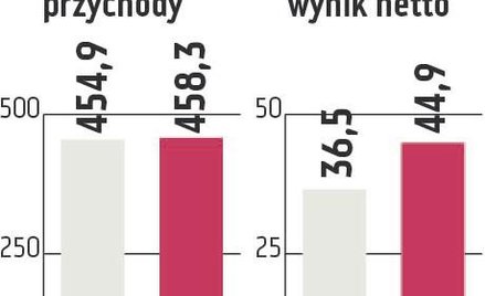 Śnieżka: Wzrost na polskim rynku
