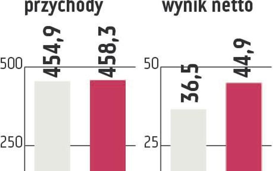 Śnieżka: Wzrost na polskim rynku