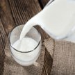 Produkty ekologiczne mają przewagę nad produkowanymi konwencjonalnie