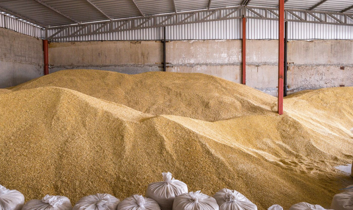Uniunea Europeană interzice Ucrainei să exporte cereale în 5 țări, inclusiv Polonia