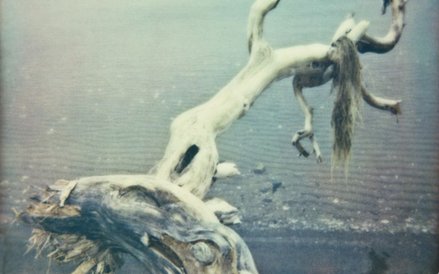 Piotr Zbierski, Push the sky way