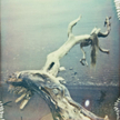 Piotr Zbierski, Push the sky way