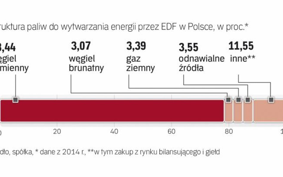 Przewaga węgla w polskim miksie EDF
