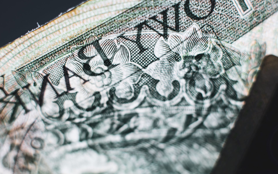 Złoty reaguje na wyniki wyborów