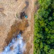 Koniec z produktami pozyskanymi w wyniku deforestacji