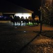Niemcy: 7 wielbłądów pod Lidlem. Policja: Czekały na okazje