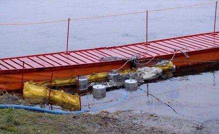 Dziesięć przykazań ekologicznych trudnych do spełnienia