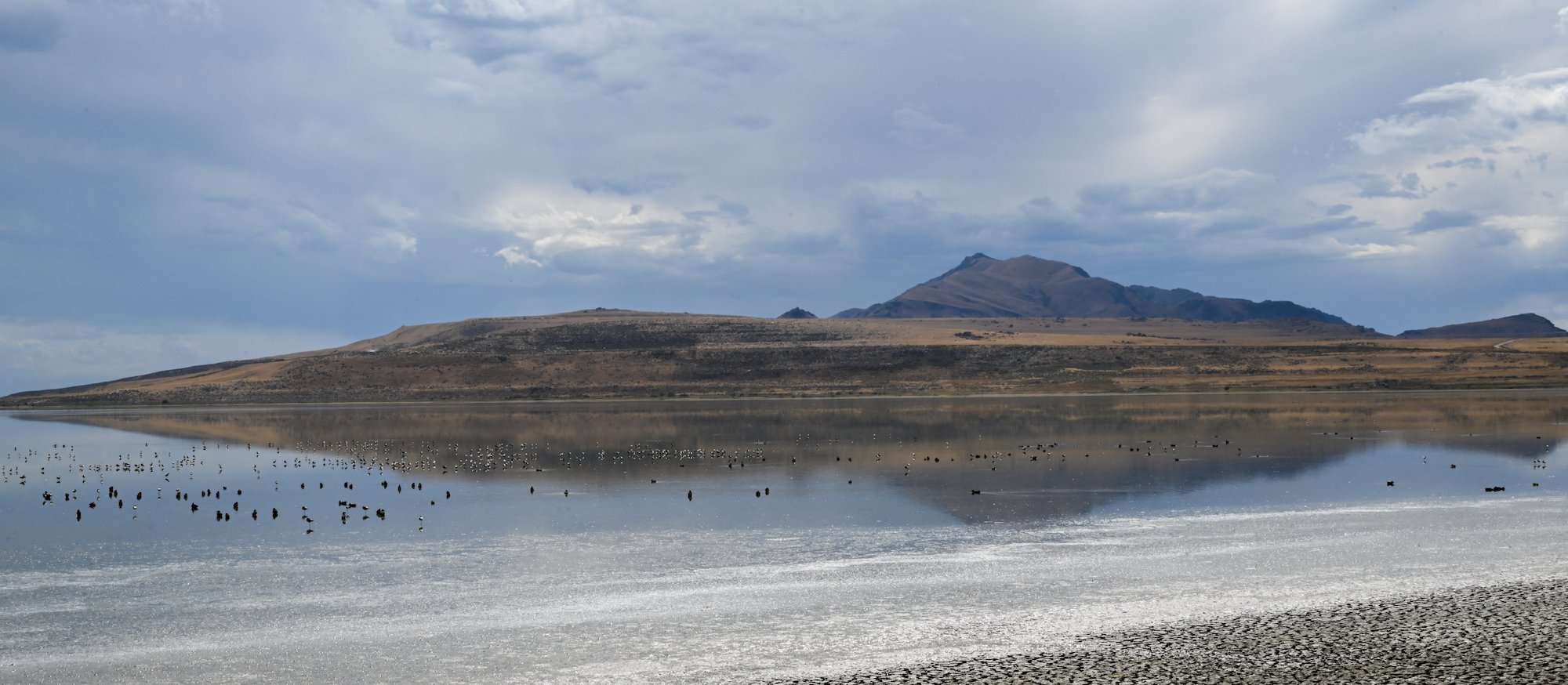 USA chcą napełnić wodą wysychające Wielkie Jezioro Słone. Plan na igrzyska