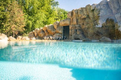 Wybieg dla pingwinów w warszawskim zoo