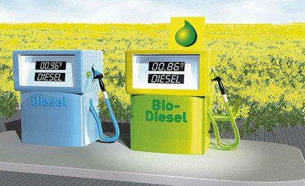 Biopaliwa szkodliwe dla środowiska