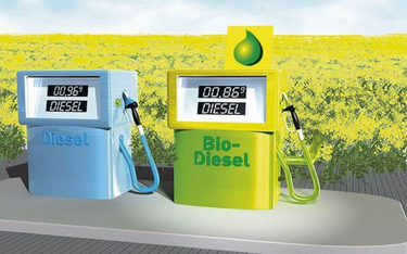 Biopaliwa szkodliwe dla środowiska