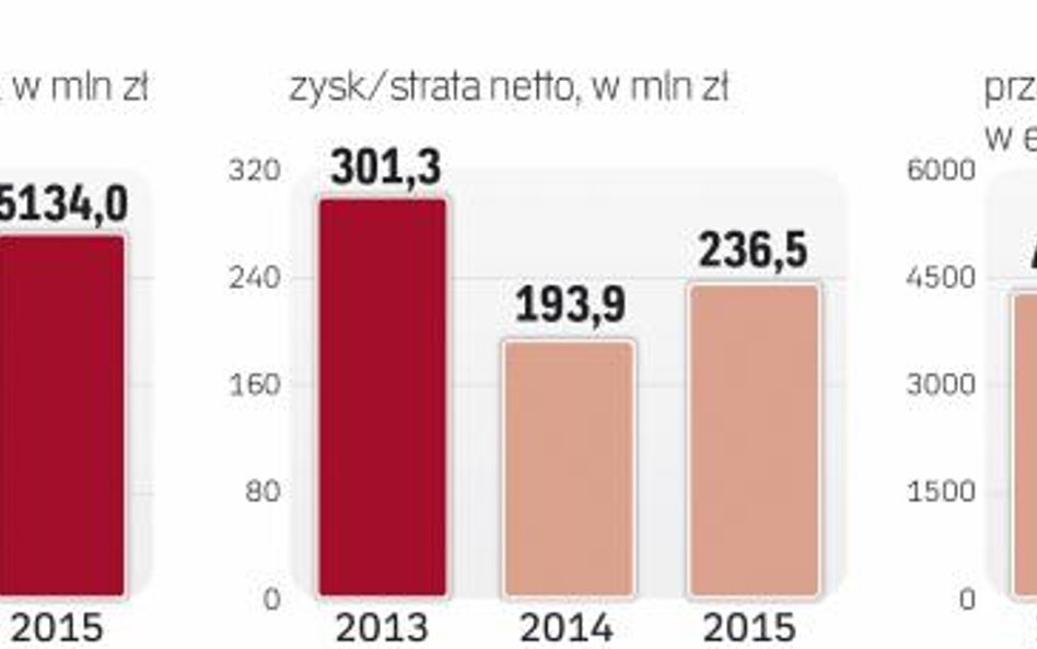 Wyniki finansowe Budimeksu