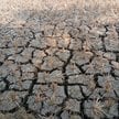 Super El Niño może przynieść ulewne deszcze i powodzie, ale też długotrwałe susze. Wszystkie te zjaw