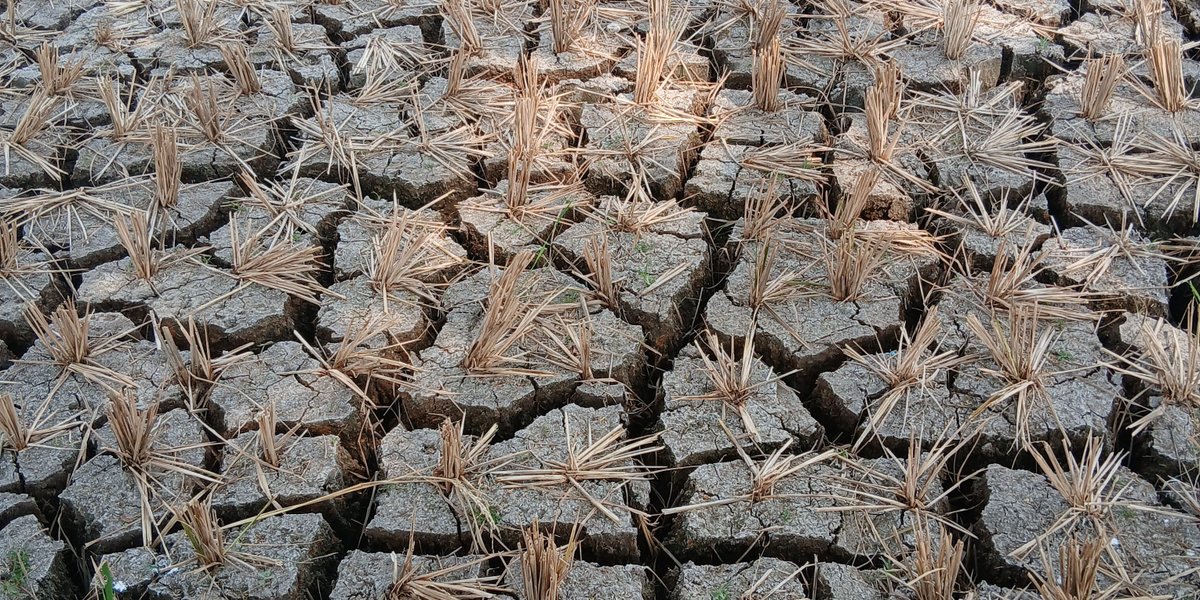 Klimatolodzy: super El Niño uderzy w polską gospodarkę