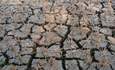 Super El Niño może przynieść ulewne deszcze i powodzie, ale też długotrwałe susze. Wszystkie te zjaw