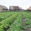 Sprzedaż działki a podatek VAT