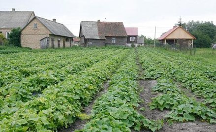 Sprzedaż działki a podatek VAT