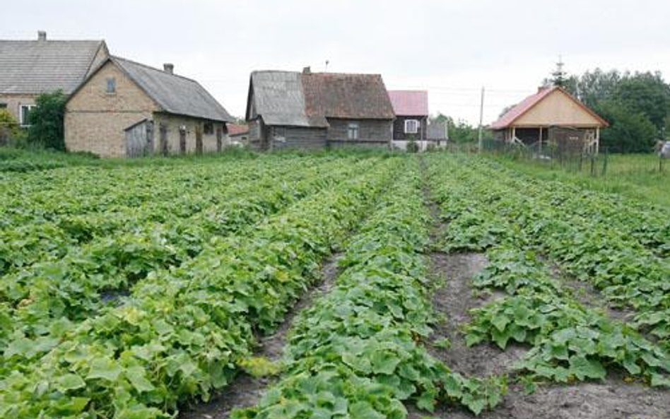 Grunty rolne nieprzeznaczone pod budowę nie są objęte VAT