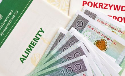 Komornik sądowy o egzekucji alimentów