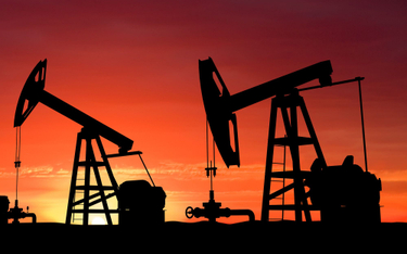 Rekordowe zmniejszenie wydobycia ropy naftowej