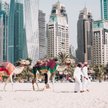 Emiraty oferują obywatelstwo obcokrajowcom. Warunki? Proste