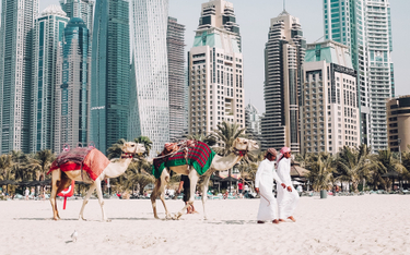 Emiraty oferują obywatelstwo obcokrajowcom. Warunki? Proste