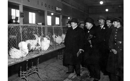 23 listopada 1934r., Wystawa drobiu, gołębi, królików i kanarków w Warszawie. Prezydent Stefan Starz