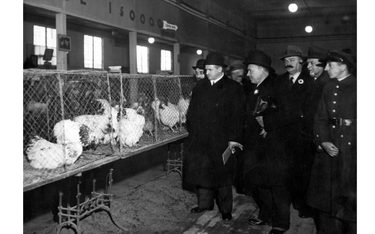 23 listopada 1934r., Wystawa drobiu, gołębi, królików i kanarków w Warszawie. Prezydent Stefan Starz