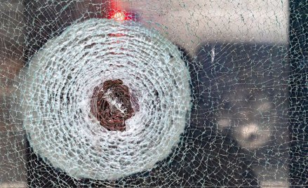 Salisbury: Próba kradzieży jednego z najważniejszych brytyjskich dokumentów historycznych. Przy pomo