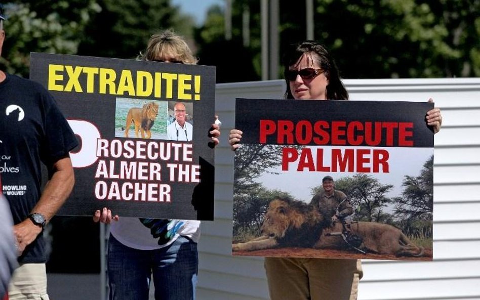 Czy Palmer powinien obawiać się ekstradycji?