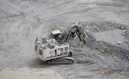 Złoto dla bardzo zuchwałych