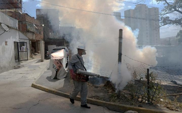 Kraje Ameryki Południowej bronią się przed komarami rozpylając środki owadobójcze