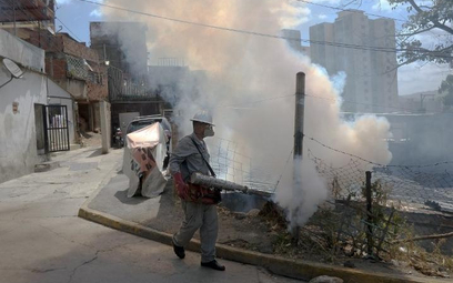 Kraje Ameryki Południowej bronią się przed komarami rozpylając środki owadobójcze