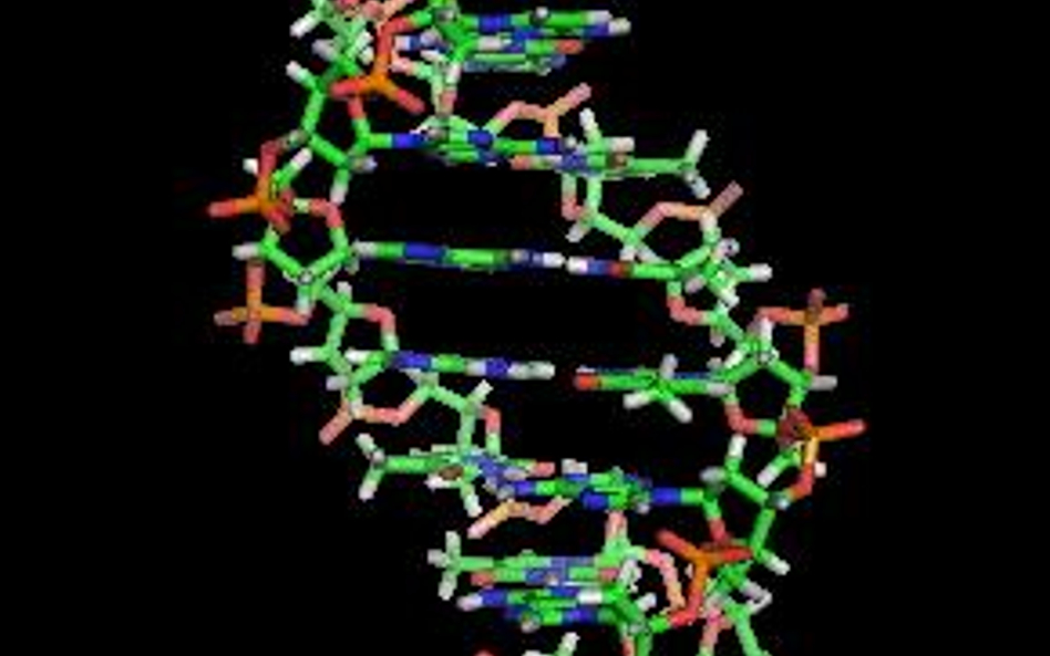 Kod DNA