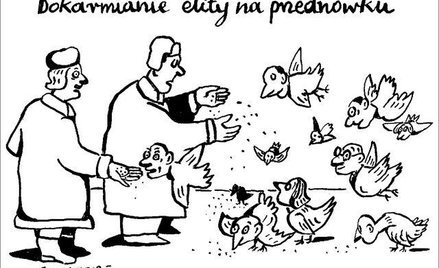 Komentarz rysunkowy. Dokarmianie elity