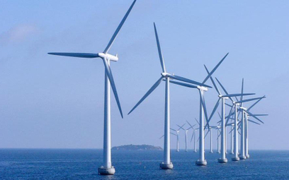 Powstanie największa morska farma wiatrowa na świecie
