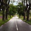 Asfalt z glonów zamiast z ropy - obiecują Francuzi